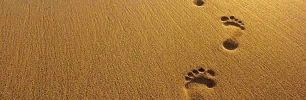 QUARESIMA 2025 – Proposte comunitarie